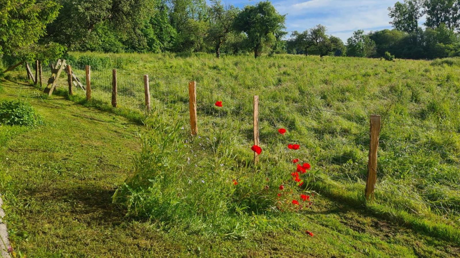 Sous Le Saule Daire Nods Dış mekan fotoğraf