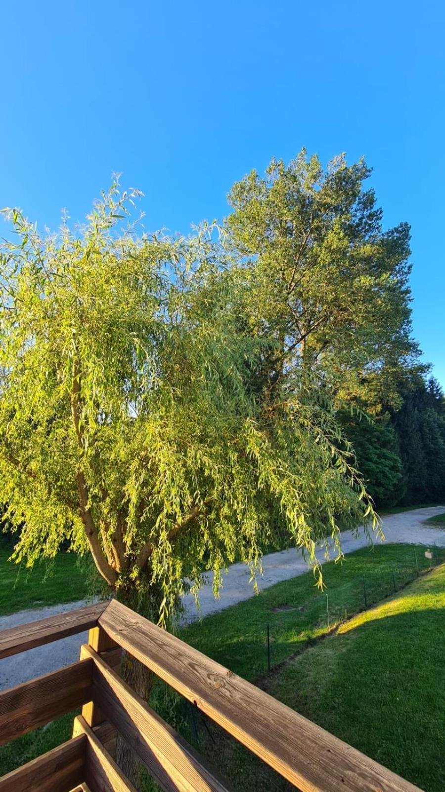 Sous Le Saule Daire Nods Dış mekan fotoğraf