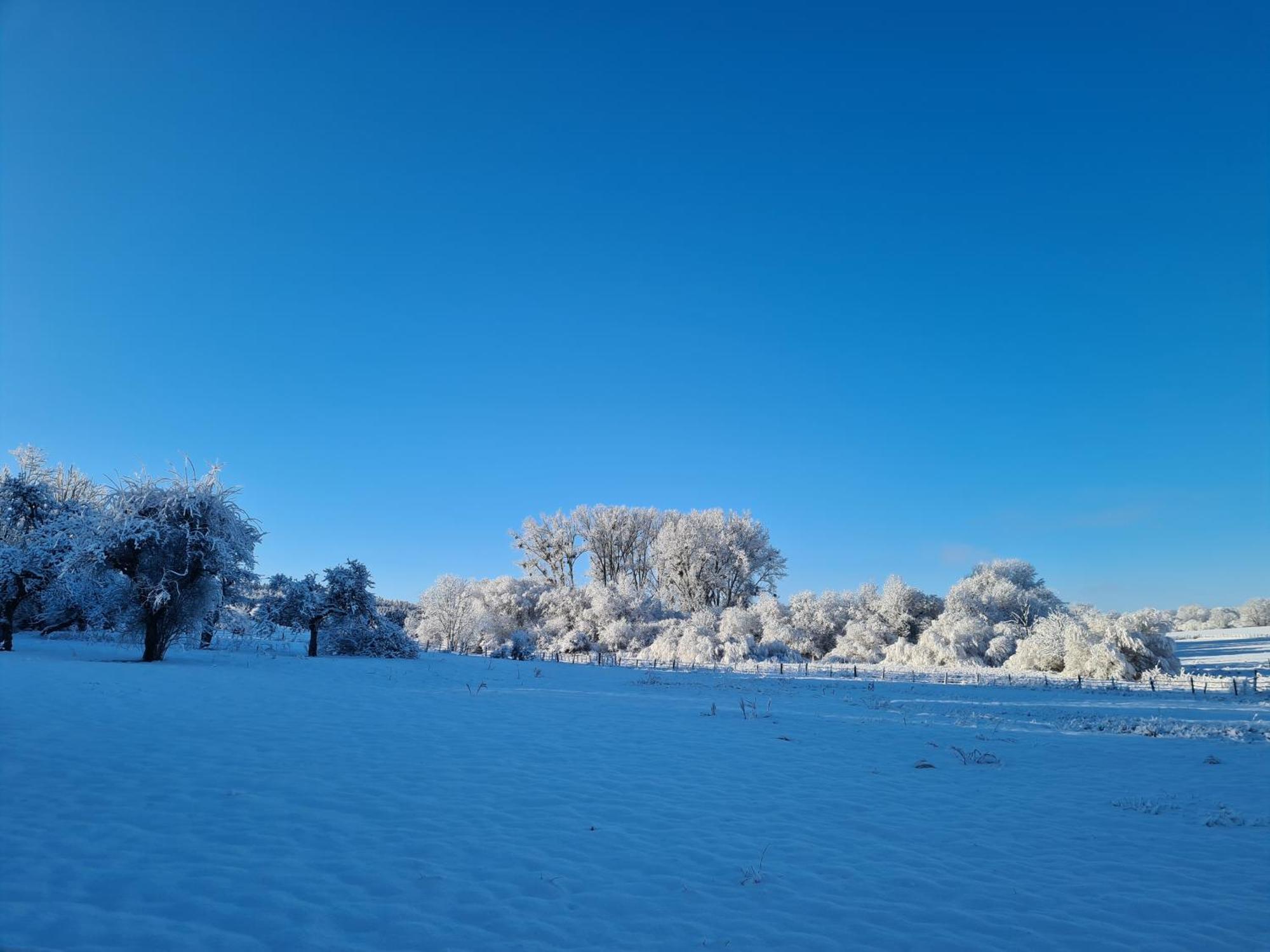 Sous Le Saule Daire Nods Dış mekan fotoğraf